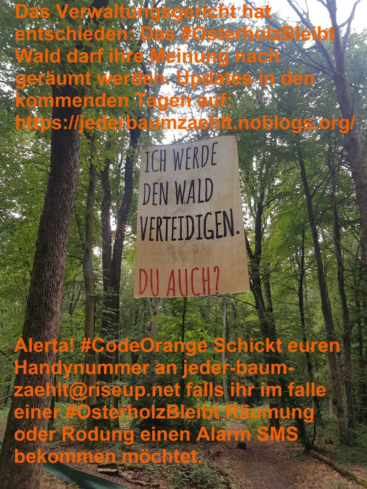 Alerta! #CodeOrange im Osterholz Wald!